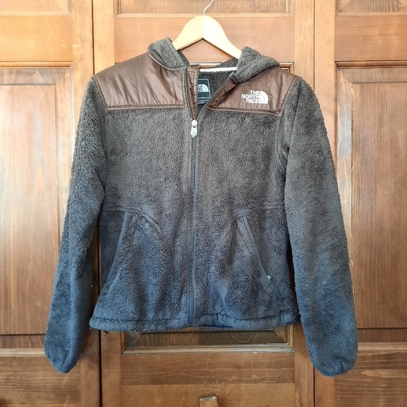 The North Face Denali Osito brown fuzzy hooded jacket - Picture 1 of 15